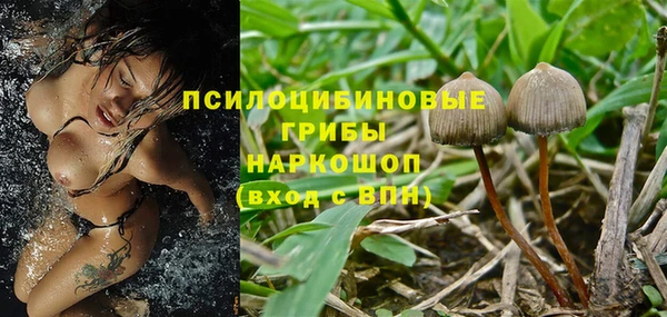 дмт Медногорск