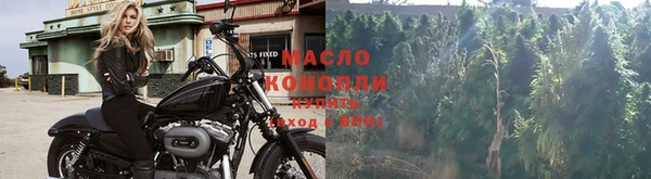 дмт Медногорск