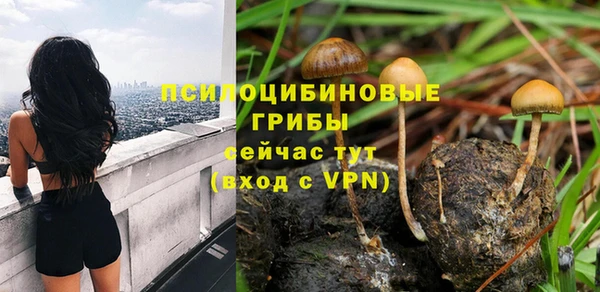 кристаллы Мегион