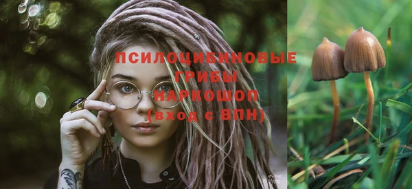 мяу мяу кристалл Медвежьегорск