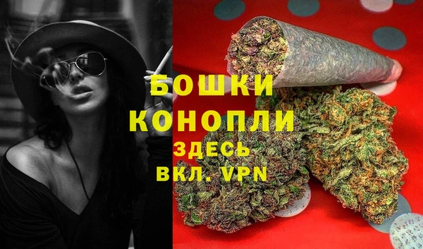 дмт Медногорск