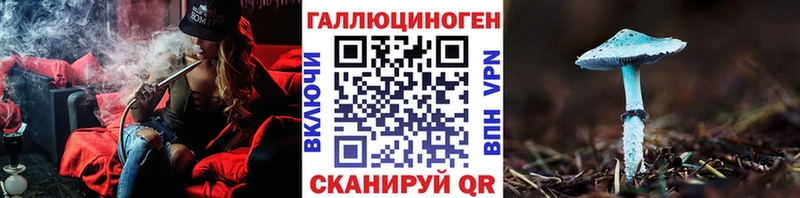ссылка на мегу маркетплейс  Фокино  Галлюциногенные грибы Psilocybine cubensis 